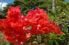 werspekerford's profile picture. サッカーとスイーツを愛してます！もはや生きがい！むしろ人生！！