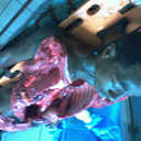 Devon alexis - @sdiciple - Twitter