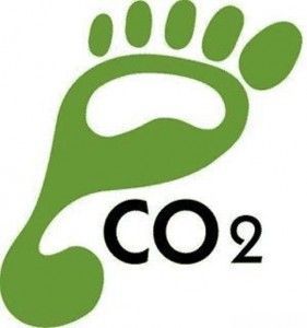 Environmental Sustainability