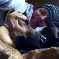 Amy Walz (@amywalz) 's Twitter Profile