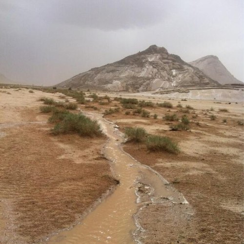 حساب متخصص لـ نشر اخبار الطقس ..