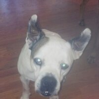 Claire Holley (@cofc79) 's Twitter Profile