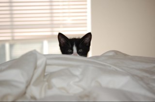 kman30us's profile picture. 