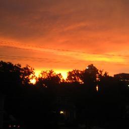 I love the LORD JESUS, WEATHER AND TORNADOES! I LOVE ANIMALS!