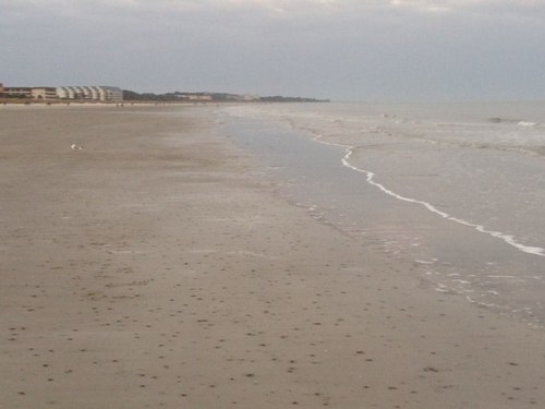 ricgreen62's profile picture. 