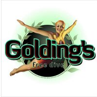 Golding's Free Dive (@goldingsfd) 's Twitter Profile Photo
