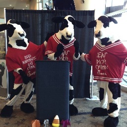 Adventures of The Chick-fil-A cows. Cowing around while trying to get people to Eat Mor Chikin!