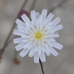 imho9999's profile picture. 