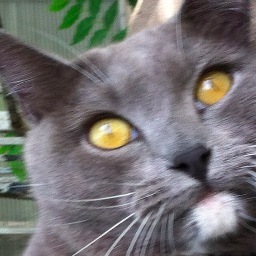 kwmahan33's profile picture. 