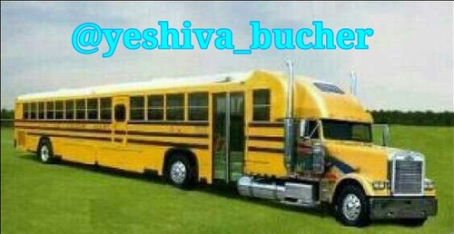 yeshiva_bucher's profile picture. 