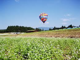 enftenmysen's profile picture. ジャニヲタ☆(*‘∀‘人)趣味は生田斗真と戸塚祥太を愛でることで特技がひきこもり☆まったり生きることはこの世のしあわせと言って過言ではない。