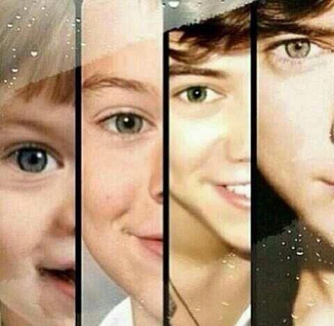 .#FollowBack.Directioners. @ZaynMalik @Real_Liam_Payne @NiallOfficial @Harry_Styles @Louis_Tomlinson 
please follow meeeeeeeeeeeeeeee