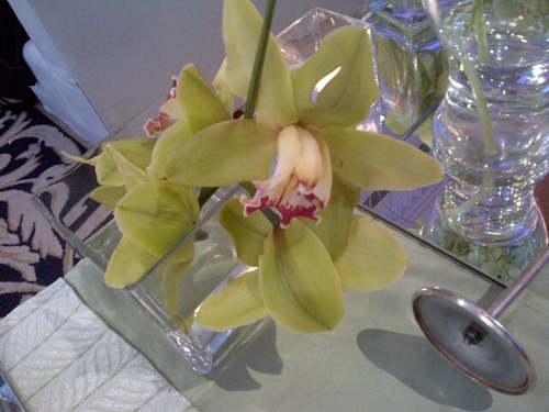 NAEEMA66528763's profile picture. 