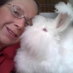 Retired and enjoying life as an Angora Rabbit fancier. Intactivist. #i2