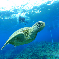 しんじ (@__nerv__) 's Twitter Profile