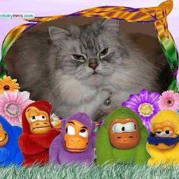 smartieana's profile picture. 