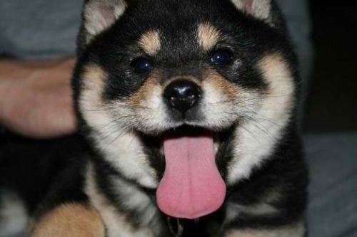 MonniBell's profile picture. Aspiring dietitan