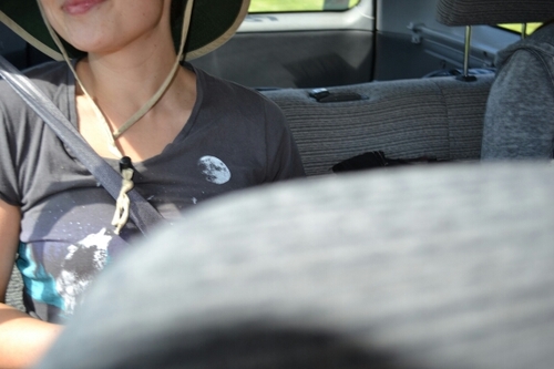 StarkAshley's profile picture. Lifelong Learner, Teacher, Adventurer, Creator, Thinker, Explorer, Optimizer,  Athlete