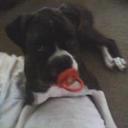 Mark Upton - @mupton63 - Twitter