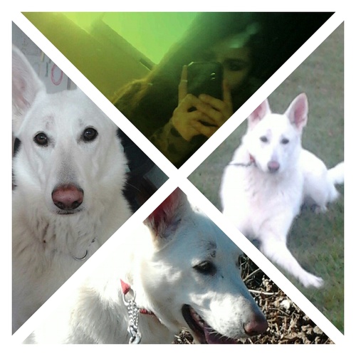 heloww druk gwn op die follow knop en maak hem blauwx|lovees lanaxx