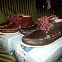 Jesse Strong - @JesseStrong2 - Twitter