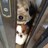 fumfum_20's profile image
