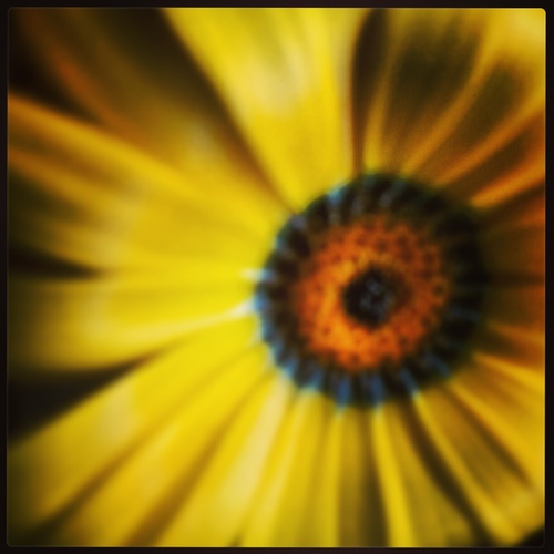 embriodery's profile picture. 