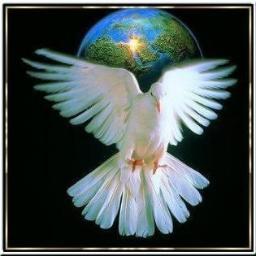 babusatheesh's profile picture. hi..thnx 4 everybody 4 folowing me i wish u all everything best happen in ur life''a big sentence can be stopped by small.think b4 ink..  born2help