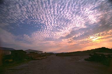 metlucbaarej's profile picture. おバカで天然、寂しがり、一人で待ち合わせ場所にいると心細くなる、方向音痴、話し下手、人の話は聞いてるようで聞いてない、メールの返信が遅い、思いつきで行動する（で、後悔）、カワイイのが好き、雑貨屋さんが好き、動物が好き！