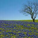 Catherine Lally - @CatLally - Twitter