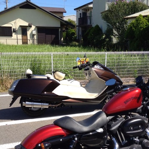 Winning11Go's profile picture. 