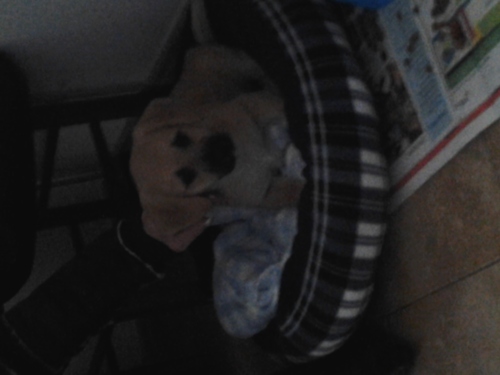 angy_angy_angy's profile picture. 