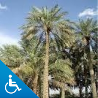 أبوأيوب (@alkharj220) 's Twitter Profile Photo أبوأيوب (@alkharj220) 's Twitter Profile Photo