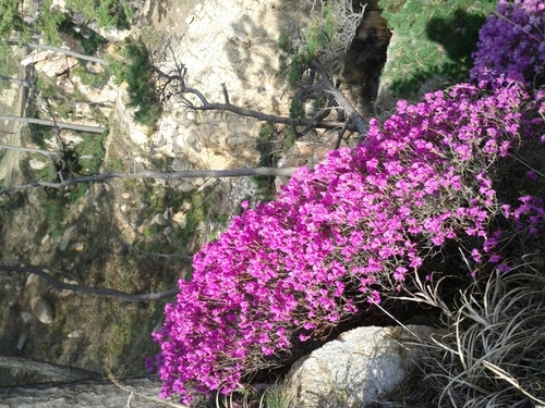 qwweryyii's profile picture. 