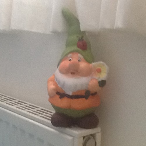 GnomeTheGnome1's profile picture. The gnome travels around
