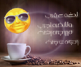 لايوجد