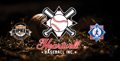 Cal Ripken/Babe Ruth Baseball for players 5 to 18 years old.  Our Buddy Ball Division allows ALL players the opportunity to enjoy baseball!
