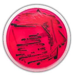 Sciencemethods's profile picture. Making hard research easier. Join us in creating the worlds best open source and peer reviewed science methodologies database. ^tm is @tommitchell ^sf is @sofaf