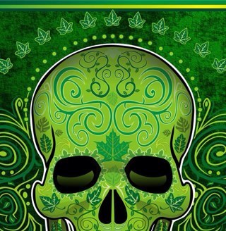 anas116's profile picture. 