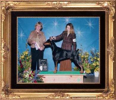 lifeinsbroker's profile picture. I am an Insurance Broker specializing in life and health insurance.