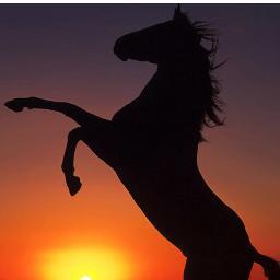 Hola me llamo rocio y  me gusta mucho montar a caballo mis yeguas favoritas son: lesly,xana ankara diva, neiva