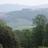 North_Natterer's profile image