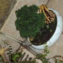 Beth Reis - @Bethereis - Twitter