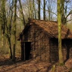 neuhhhhh's profile picture. 