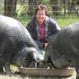 LargeBlackPigs's profile picture. Yarra Valley Free Range Pork uses pedigreed Large Black Pigs to produce a taste sensation. Find us at a Farmers Market near you.