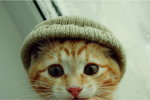 live happily (^-^)