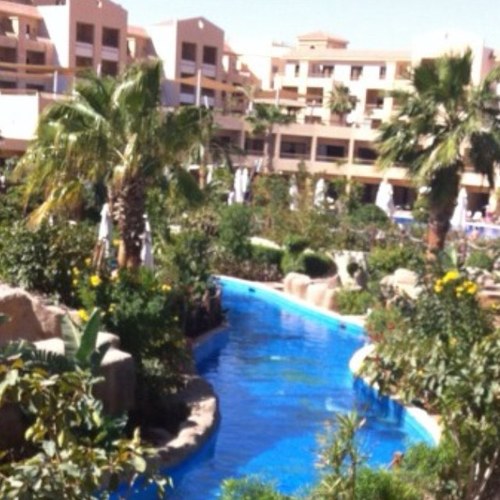 5000_azza's profile picture. متفائله بمستقبل يتساوى فيه الناس