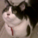 Ellie goodman - @joanne_wright00 - Twitter