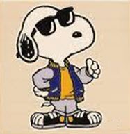 Retired Snoopy Fan