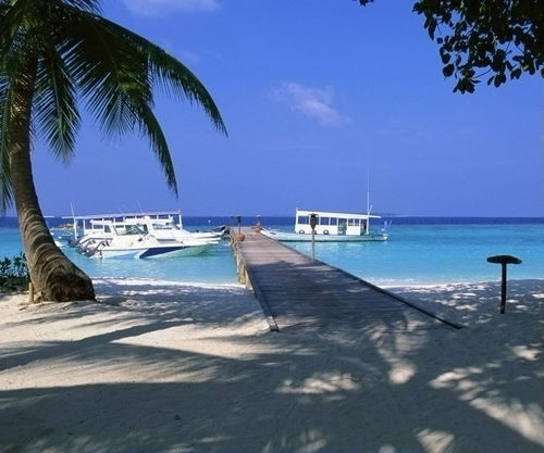 YanaV84's profile picture. I like all